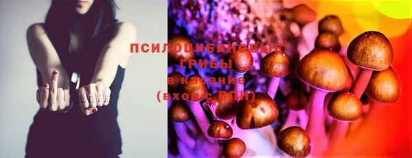 тгк Алексеевка